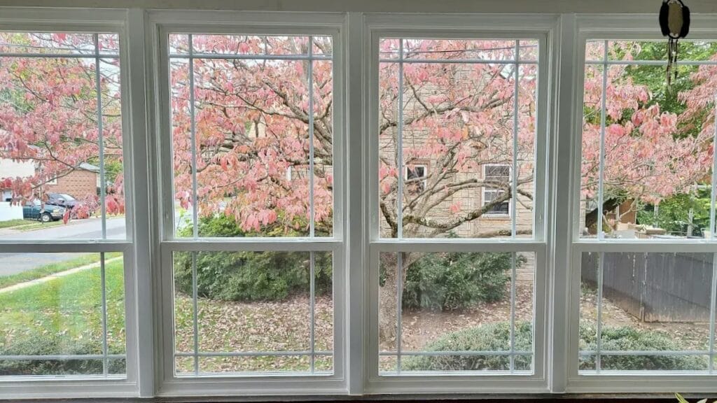 new windows on Pittsburgh home