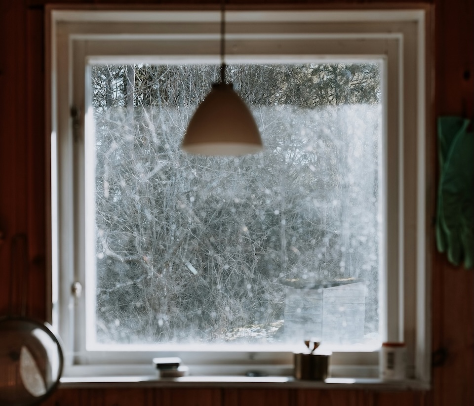 large window facing winter forest